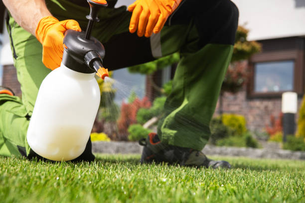 Professional Pest Control in Shiremanstown, PA