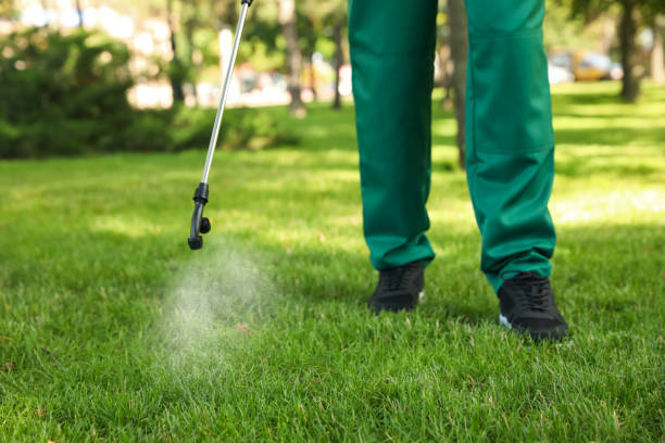 Best Insect Control  in Shiremanstown, PA