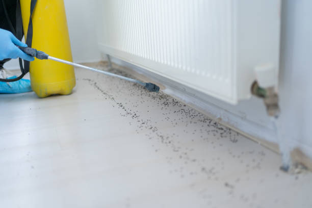 Pest Control Cost in Shiremanstown, PA
